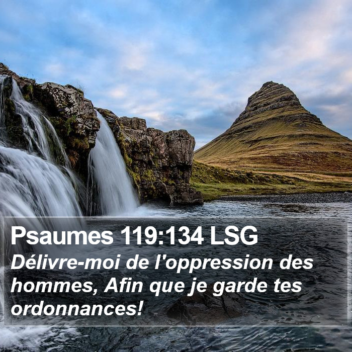 Psaumes 119:134 LSG Bible Study