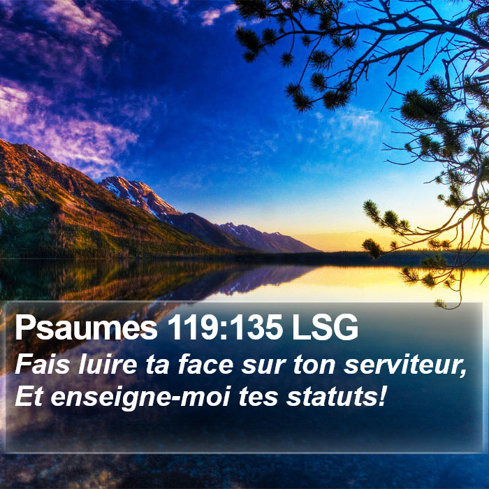 Psaumes 119:135 LSG Bible Study