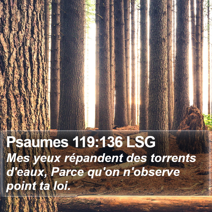 Psaumes 119:136 LSG Bible Study