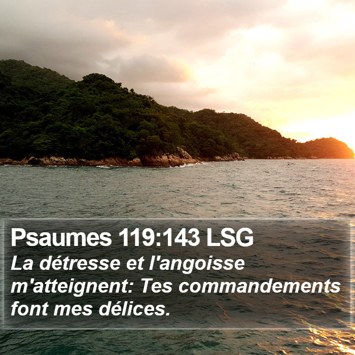 Psaumes 119:143 LSG Bible Study