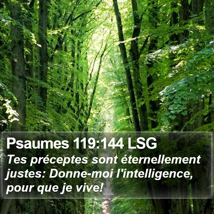 Psaumes 119:144 LSG Bible Study