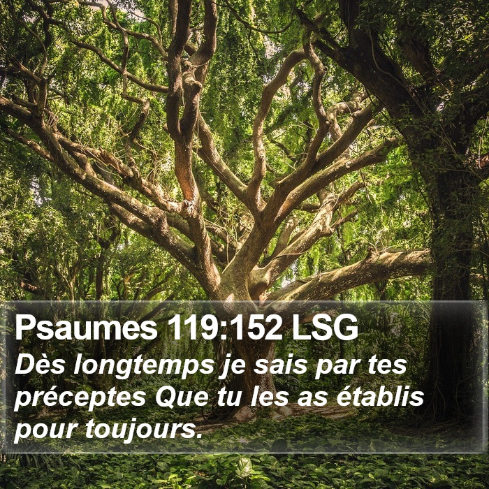 Psaumes 119:152 LSG Bible Study