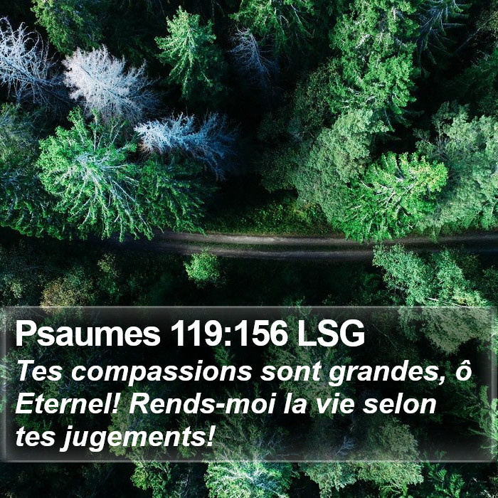 Psaumes 119:156 LSG Bible Study