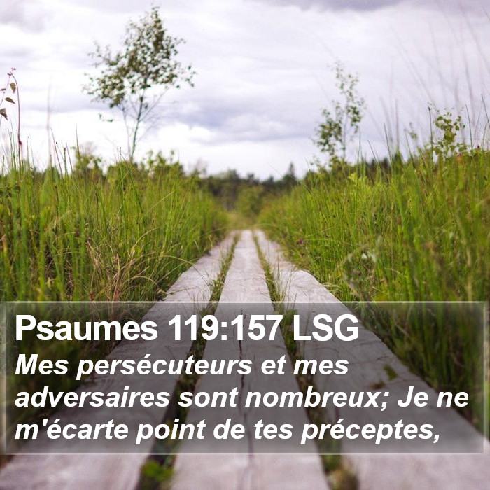 Psaumes 119:157 LSG Bible Study