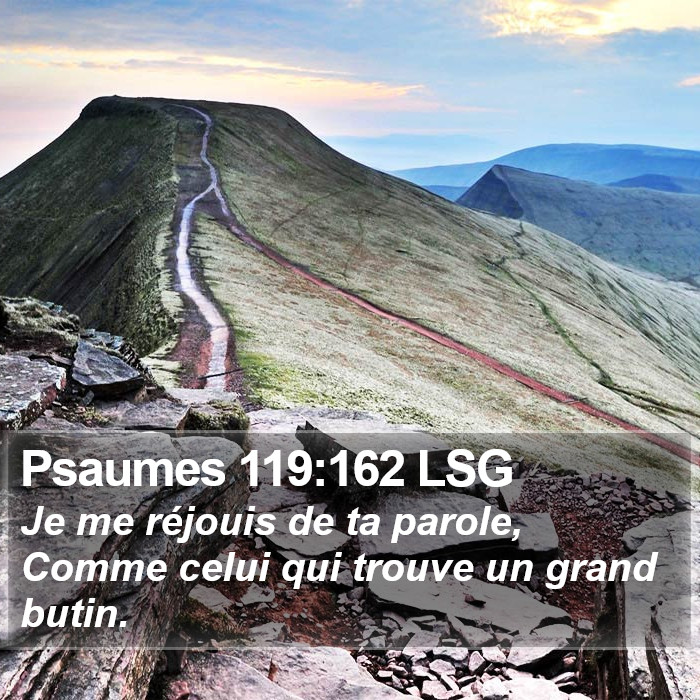 Psaumes 119:162 LSG Bible Study