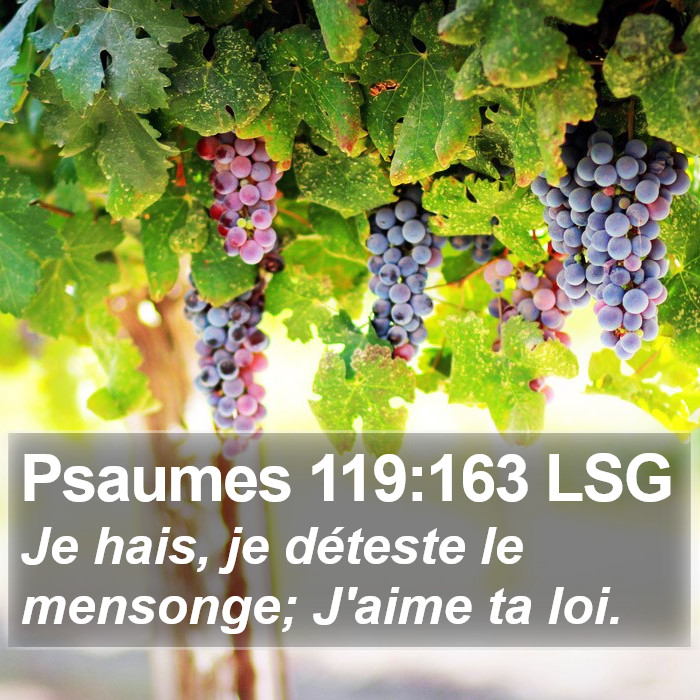 Psaumes 119:163 LSG Bible Study