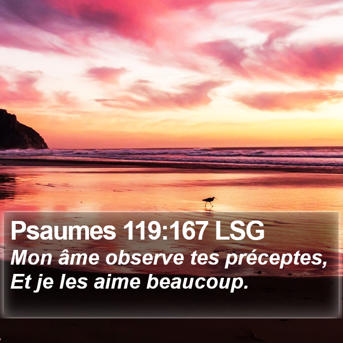 Psaumes 119:167 LSG Bible Study