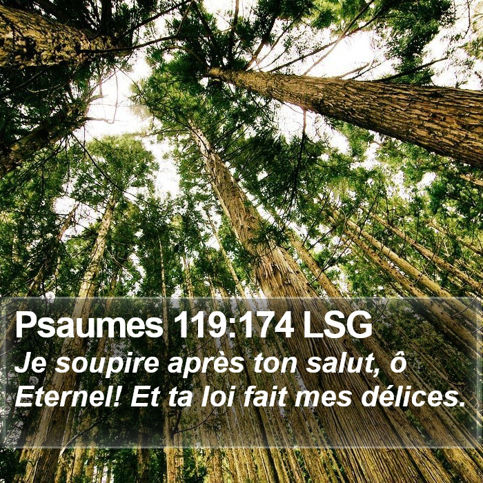 Psaumes 119:174 LSG Bible Study