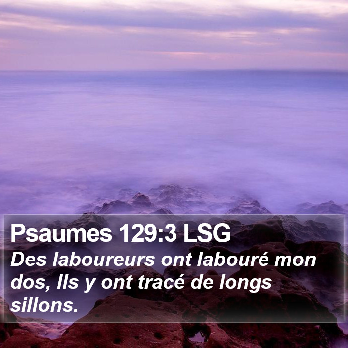 Psaumes 129:3 LSG Bible Study