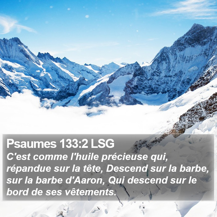 Psaumes 133:2 LSG Bible Study