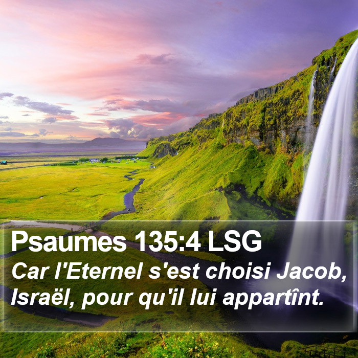 Psaumes 135:4 LSG Bible Study