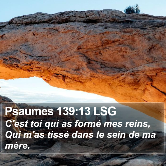 Psaumes 139:13 LSG Bible Study