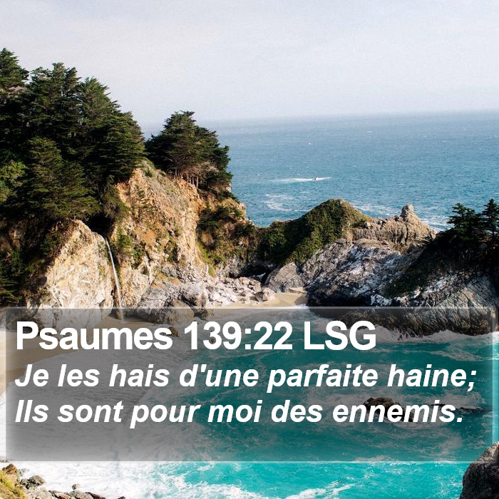 Psaumes 139:22 LSG Bible Study