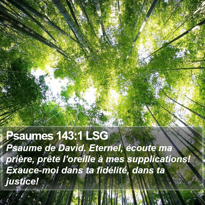 Psaumes 143:1 LSG Bible Study