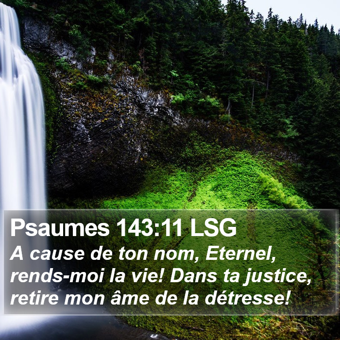 Psaumes 143:11 LSG Bible Study