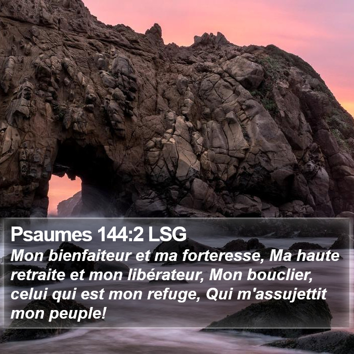 Psaumes 144:2 LSG Bible Study