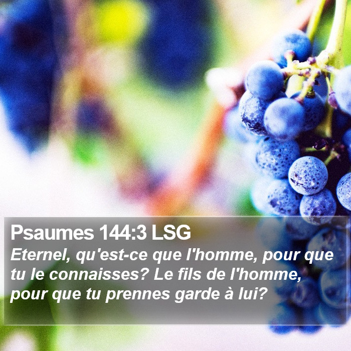 Psaumes 144:3 LSG Bible Study