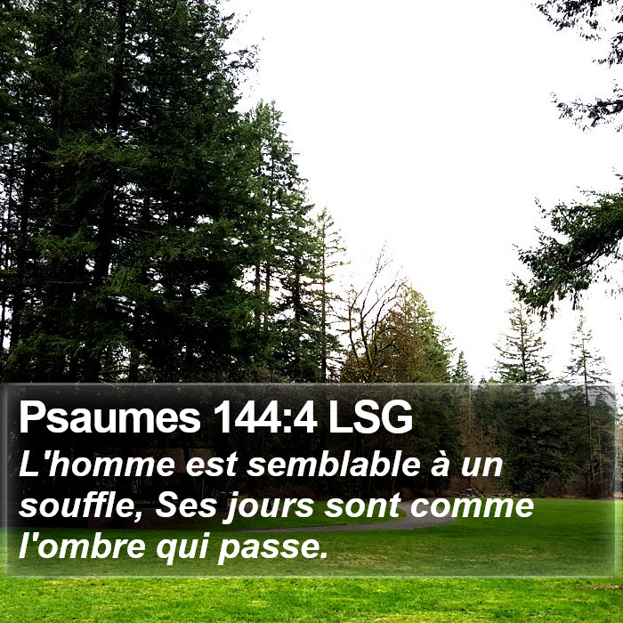 Psaumes 144:4 LSG Bible Study