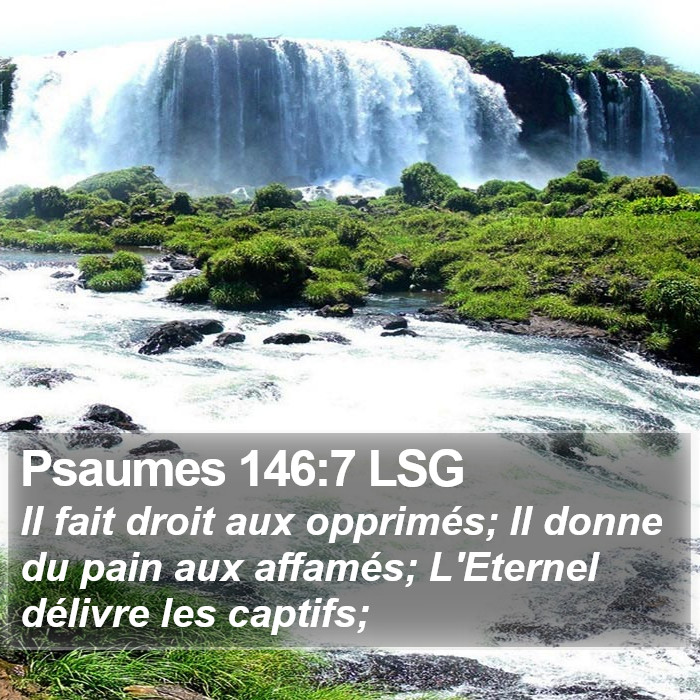 Psaumes 146:7 LSG Bible Study