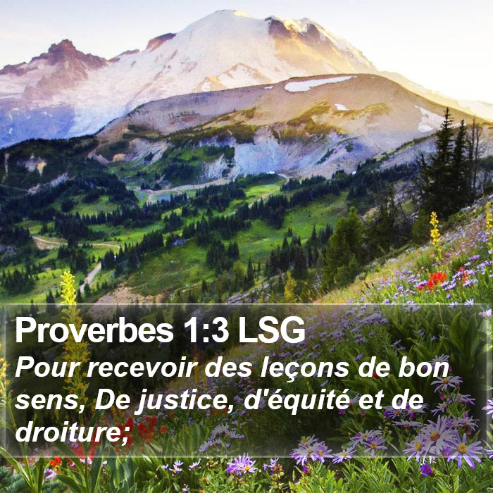 Proverbes 1:3 LSG Bible Study