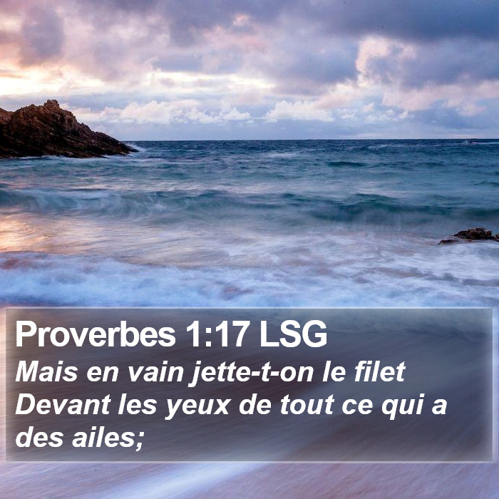 Proverbes 1:17 LSG Bible Study