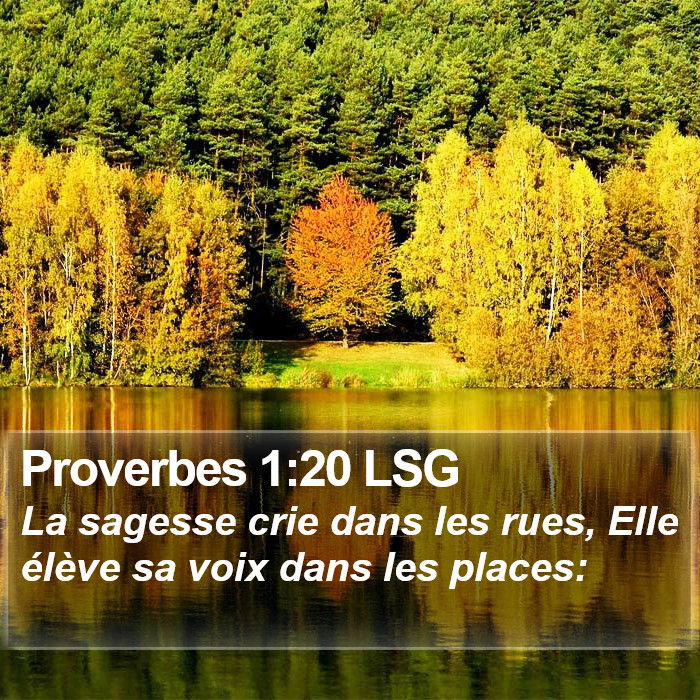 Proverbes 1:20 LSG Bible Study