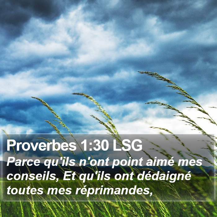 Proverbes 1:30 LSG Bible Study