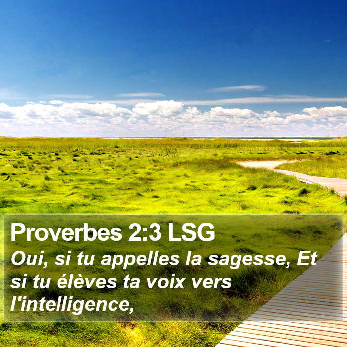 Proverbes 2:3 LSG Bible Study