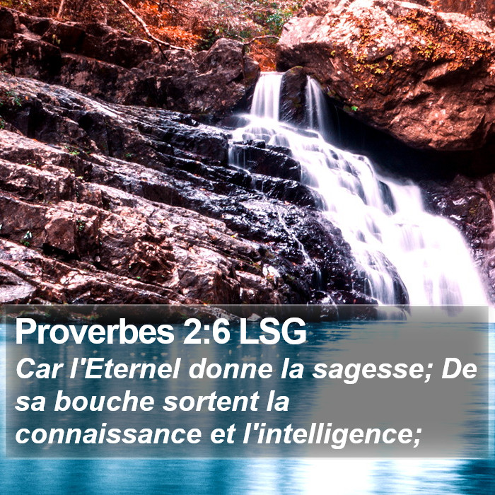 Proverbes 2:6 LSG Bible Study