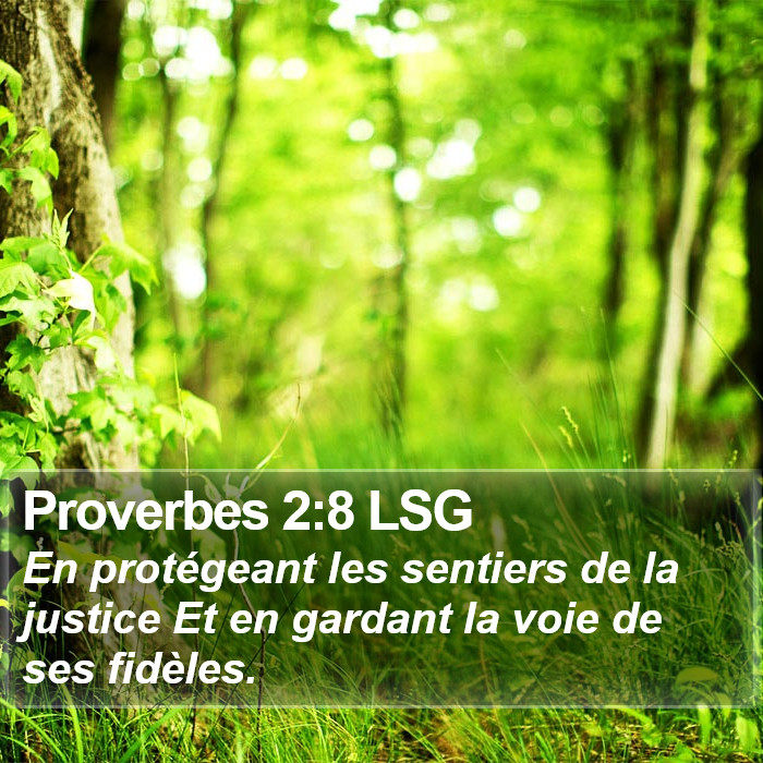 Proverbes 2:8 LSG Bible Study