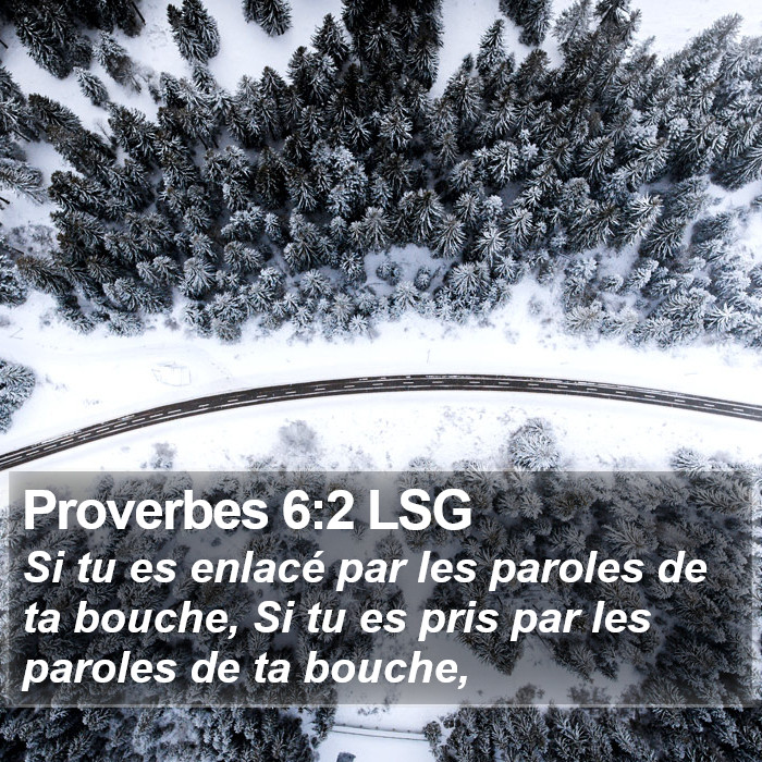 Proverbes 6:2 LSG Bible Study
