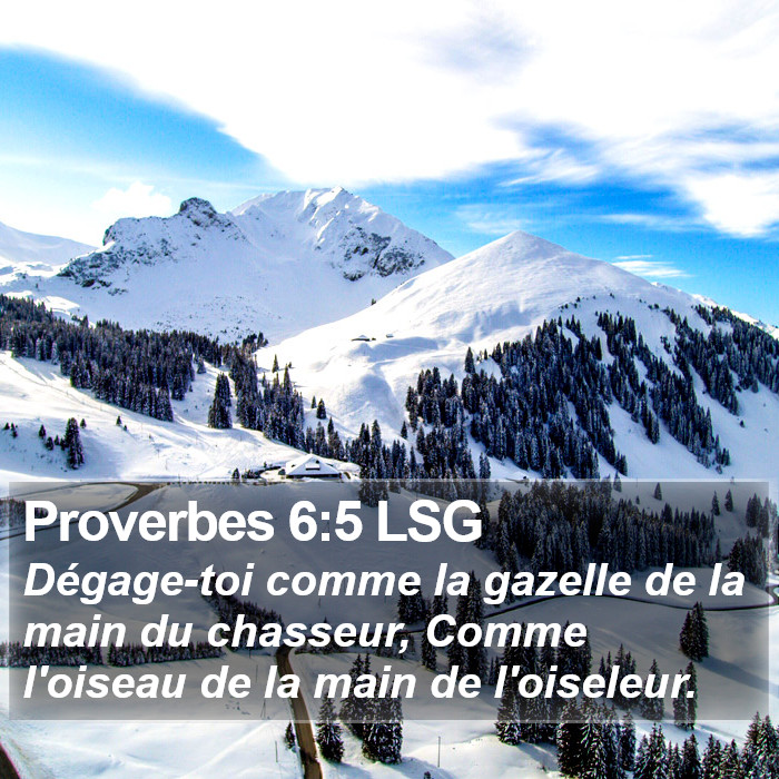 Proverbes 6:5 LSG Bible Study