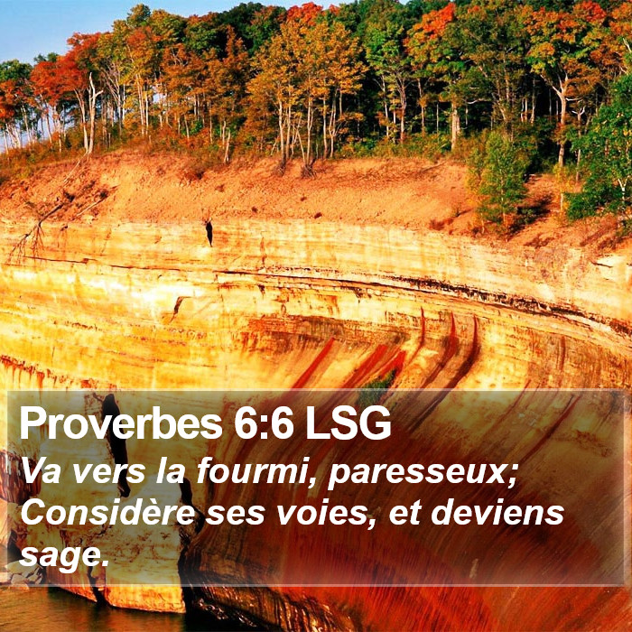 Proverbes 6:6 LSG Bible Study