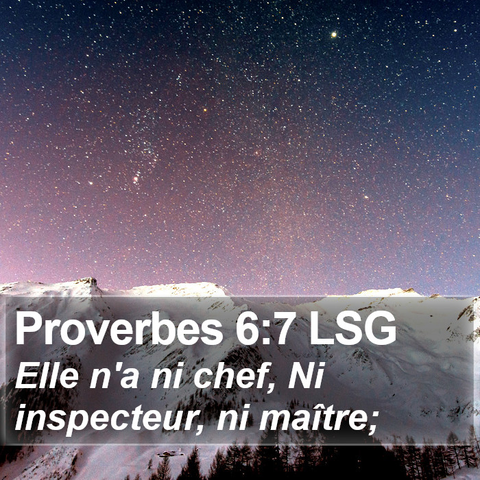 Proverbes 6:7 LSG Bible Study