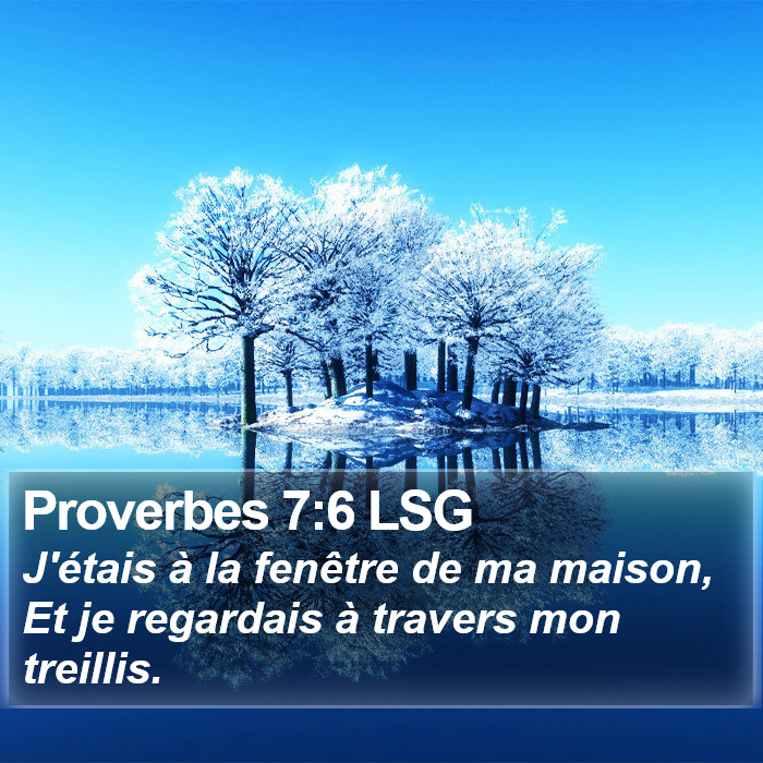 Proverbes 7:6 LSG Bible Study