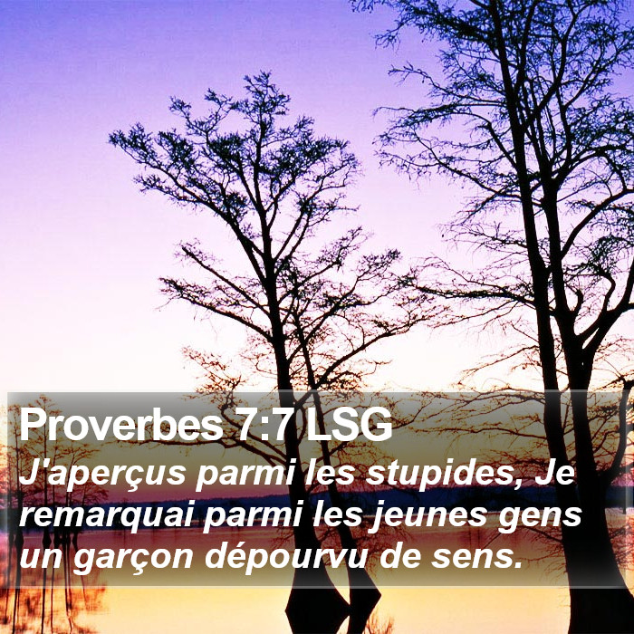 Proverbes 7:7 LSG Bible Study