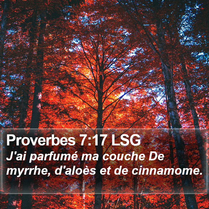 Proverbes 7:17 LSG Bible Study