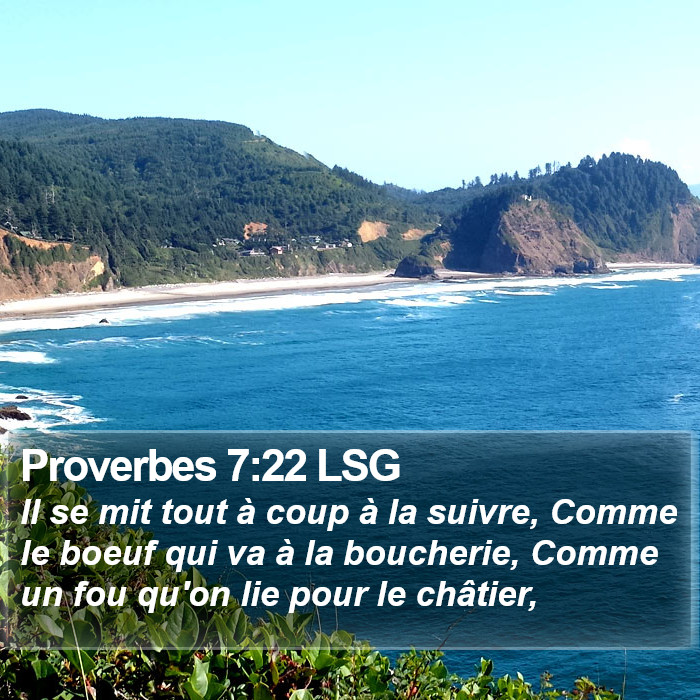 Proverbes 7:22 LSG Bible Study
