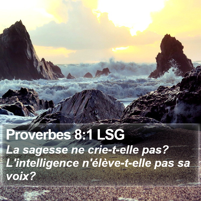 Proverbes 8:1 LSG Bible Study