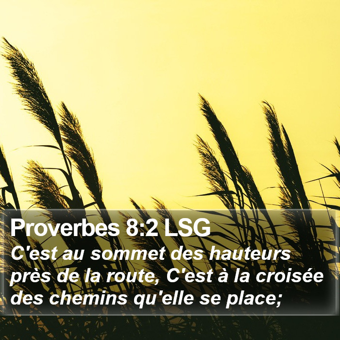 Proverbes 8:2 LSG Bible Study