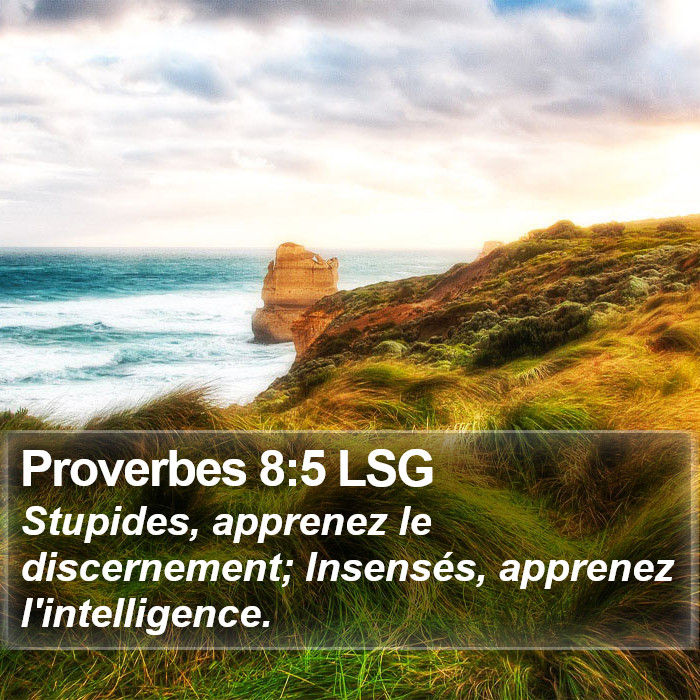 Proverbes 8:5 LSG Bible Study