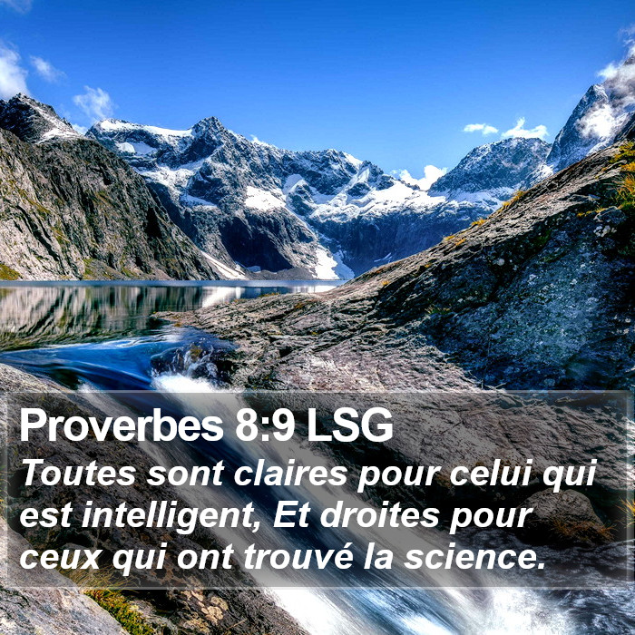 Proverbes 8:9 LSG Bible Study