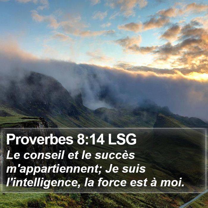 Proverbes 8:14 LSG Bible Study