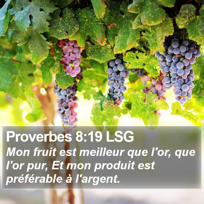 Proverbes 8:19 LSG Bible Study