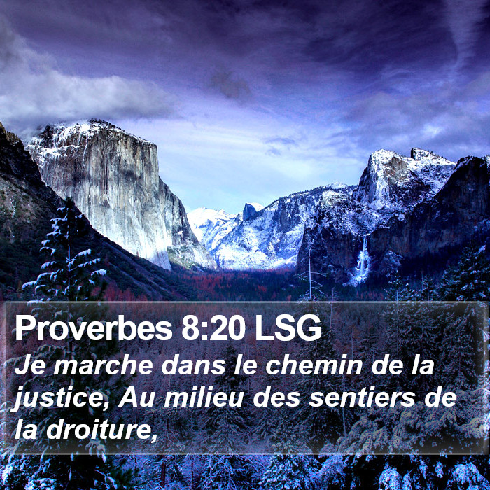 Proverbes 8:20 LSG Bible Study