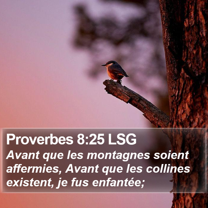 Proverbes 8:25 LSG Bible Study