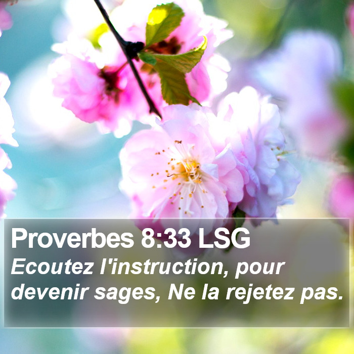 Proverbes 8:33 LSG Bible Study