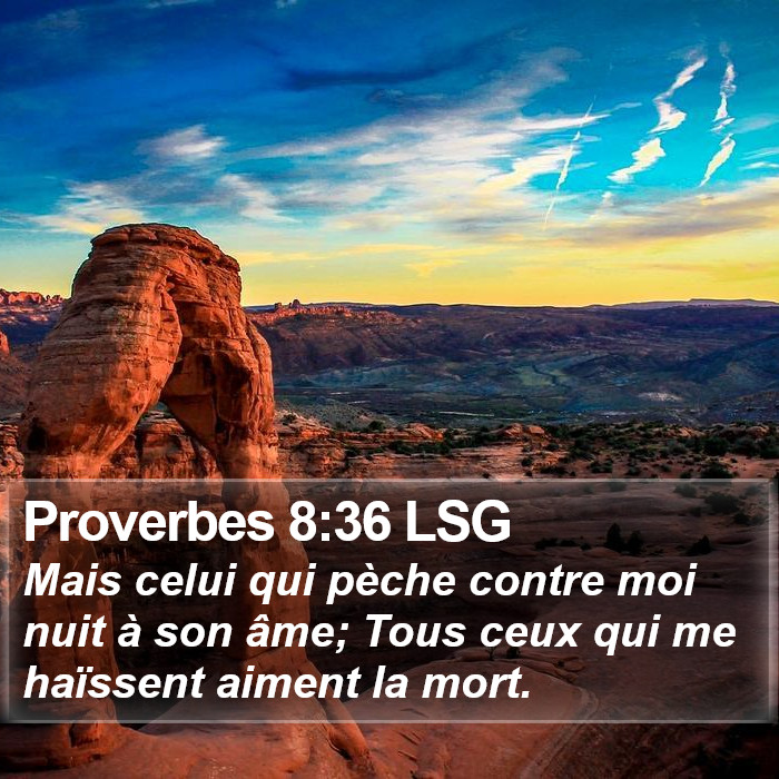 Proverbes 8:36 LSG Bible Study