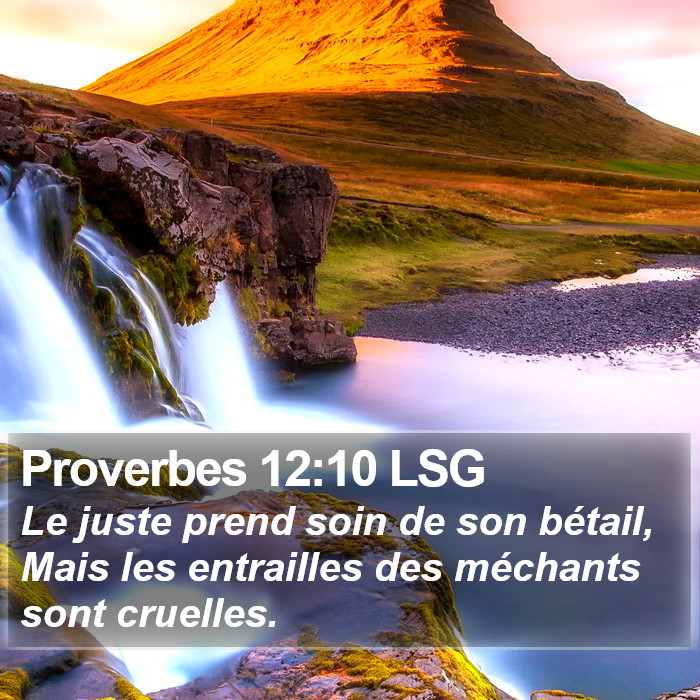 Proverbes 12:10 LSG Bible Study