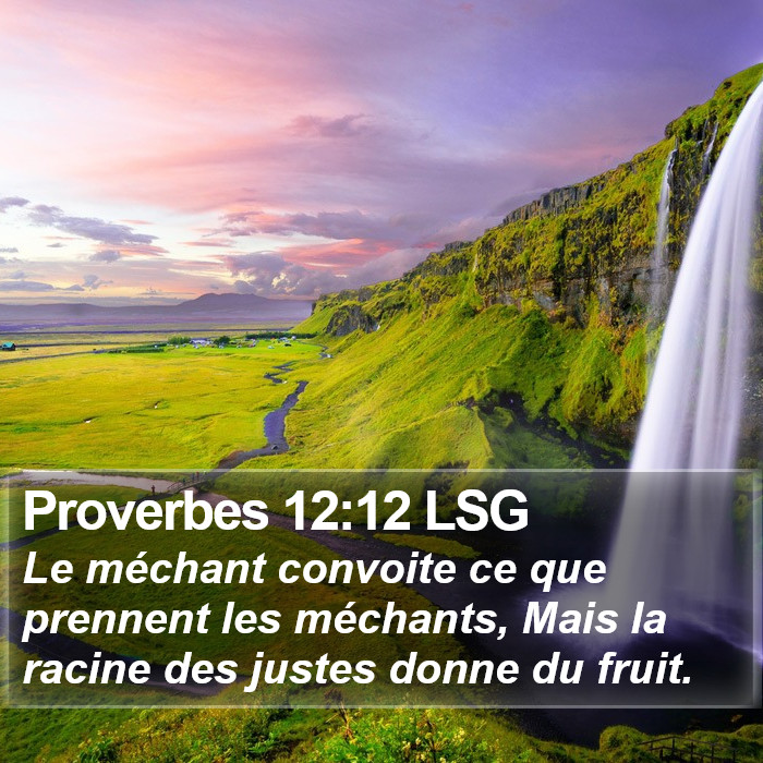 Proverbes 12:12 LSG Bible Study